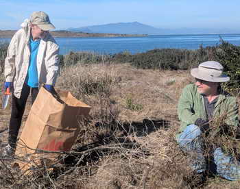 Volunteers enjoy the North Basin Strip, with views of Mt. Tam and the Bay